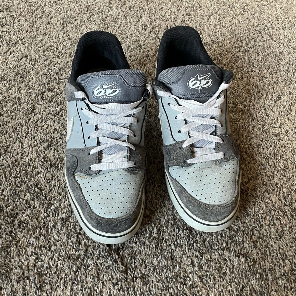 Nike 6.0 Skate Shoes